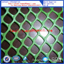 Plastic Flat Mesh Factory Direct Sale